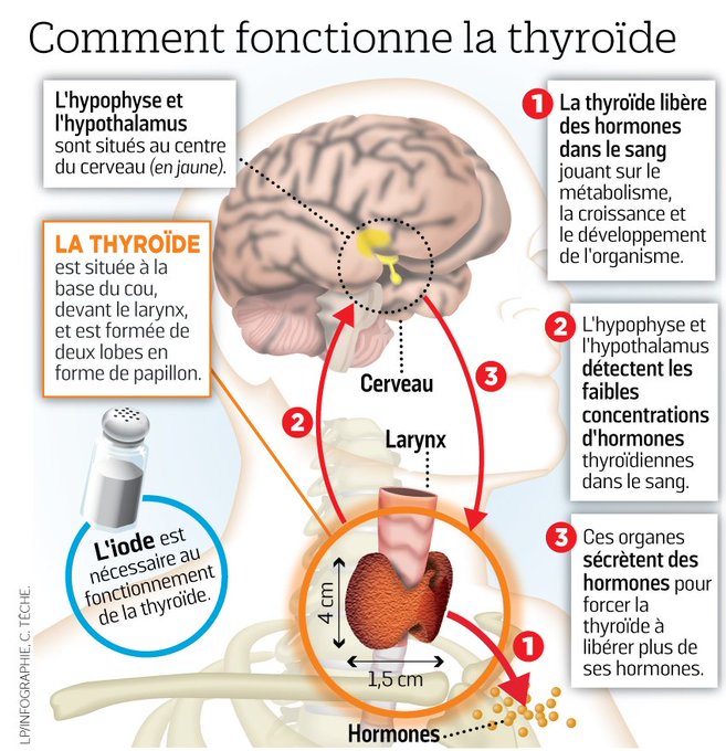 Voir l'image sur Twitter