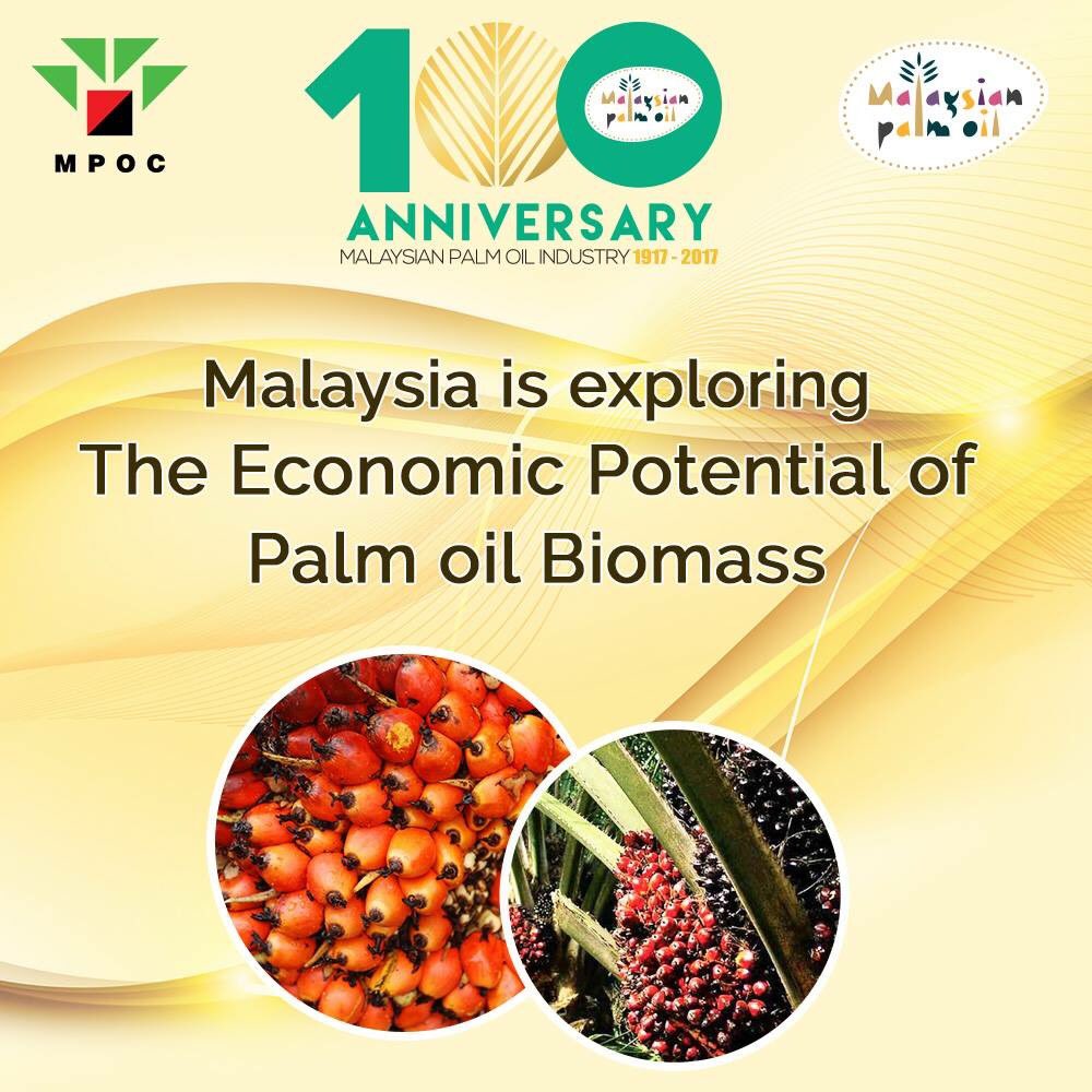 MyKomoditi's tweet photo. mpocHQ: RT MPOCEurope: Malaysia is exploring the Economic Potential of Palm oil #Biomass
#mpoc #palmoil #mpo #mpo1… https://t.co/VBZmO7wBqE