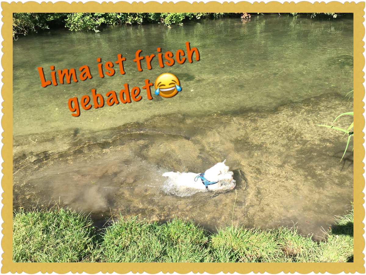 Wunderschöne Wochenmitte 😎