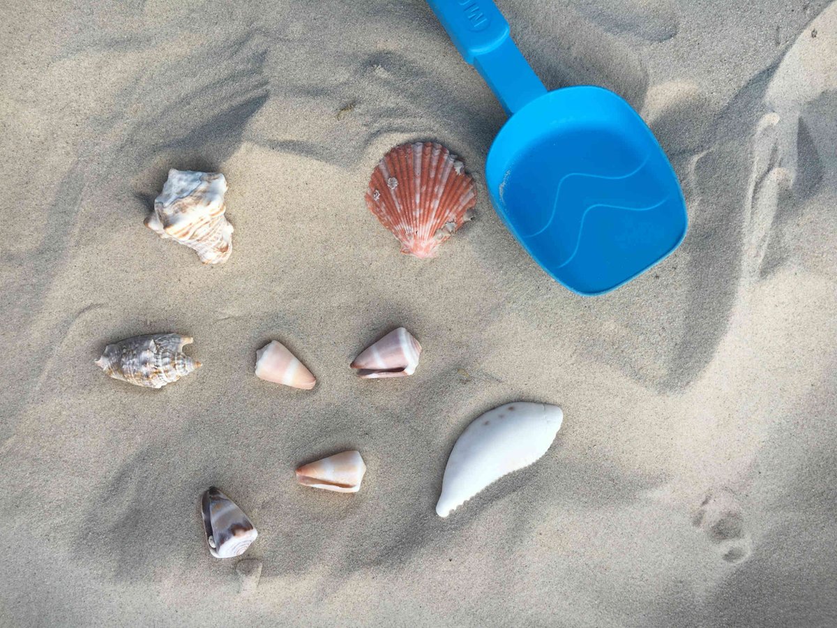 radionumberone's tweet photo. Bon ton da spiaggia. @MarcoVignoletti e @AlessiaFoglia ci #presentano alcune #regole da tenere in #spiaggia.
https://t.co/eLtZsqS8Re https://t.co/dLVVsPalpk
