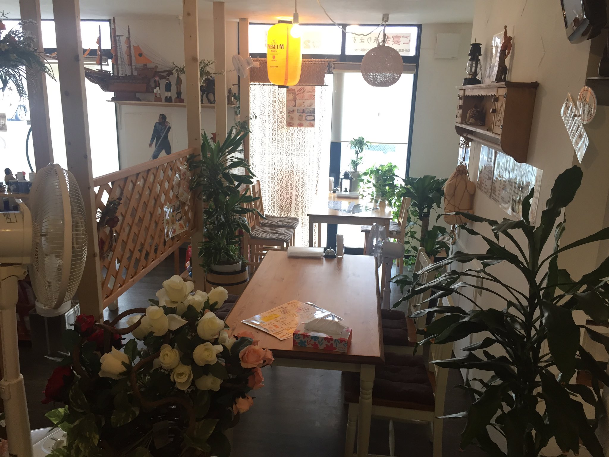 わかの巣 八戸 در توییتر こんにちは 観葉植物少し増やしてみました もっと置きたいけど狭い店なのでw 以前喫茶店やってた頃は店中 観葉植物だらけだったの思い出します わかの巣 八戸 در توییتر こんにちは 観葉植物少し増やしてみました もっと置きたいけど狭い店なのでw 以前喫茶店やってた頃は店中 観葉植物だらけだったの思い出します