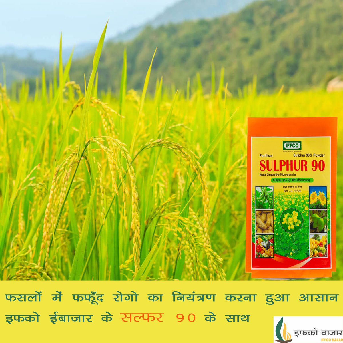 अब फसलों में फफूँद रोगो को नियंत्रण करना हुआ आसान