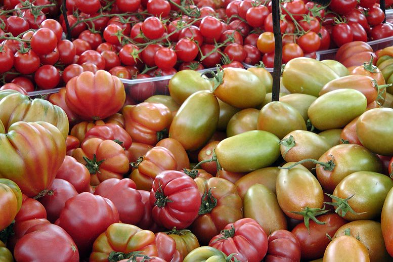 valenciafruits's tweet photo. #Marruecos, #Turquía y #Egipto siguen creciendo en el #mercado comunitario de #hortalizas. #Agrocomercio https://t.co/KeOB4gdCM7 https://t.co/uM6rg1Xfof