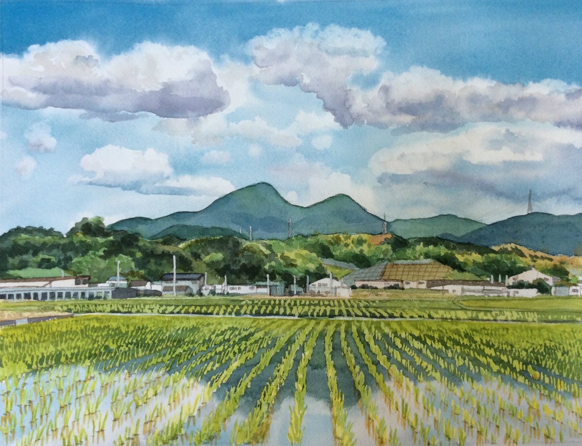 新作公開】水彩画 連作「葛城」その57《青水無月》 田んぼに水が張