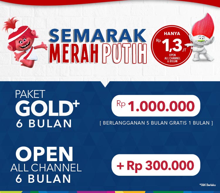 Transvision Lombok tweet media