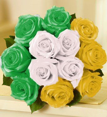  Happy Birthday Carol. Hope you have a great day   