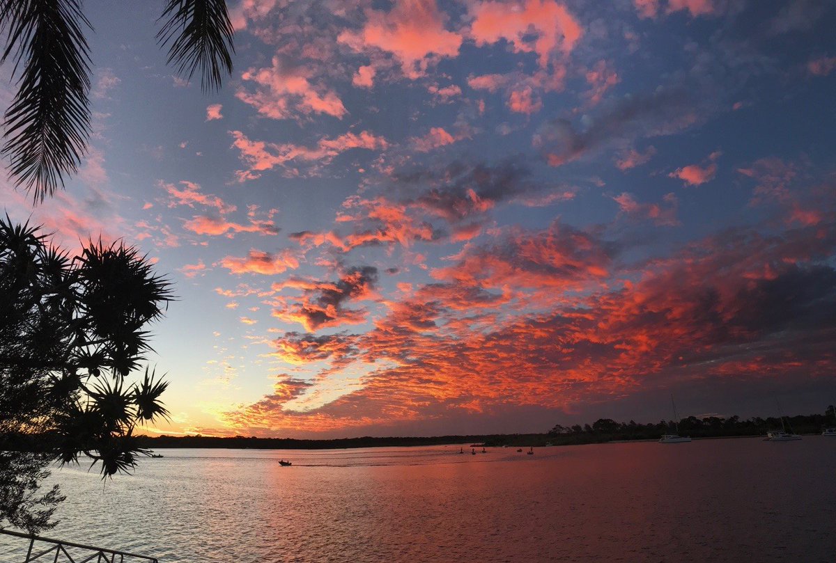 Don't forget your camera.. Rickys is always picture perfect! 
#noosa #sunset #visitnoosa #noosariver