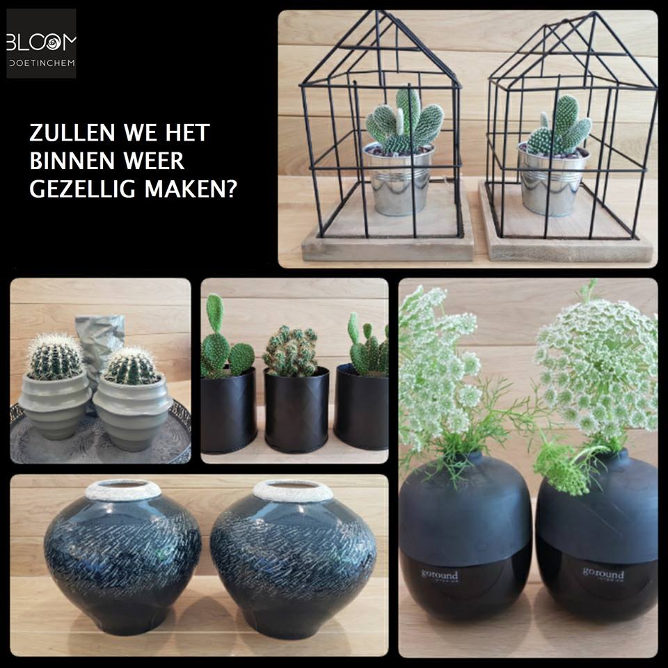 Bloom Doetinchem BV (@bloomdoetinchem) on Twitter photo 