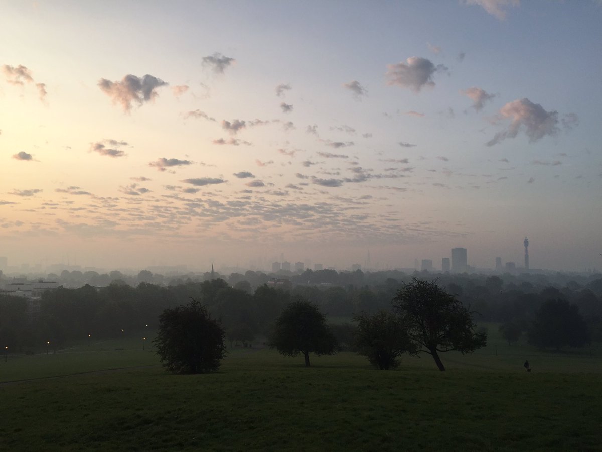 orlandoflush's tweet image. Morning London!
#foxtrainingtobeajaguar #belsizing #zefrenchfox #6am #danceandrun #londonsunrise #hampstead #hampsteadlife #visualpoem