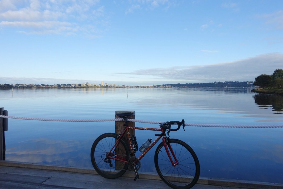 tompelmini tweet media