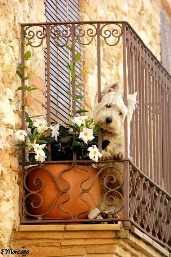 Alex78Williams's tweet image. 