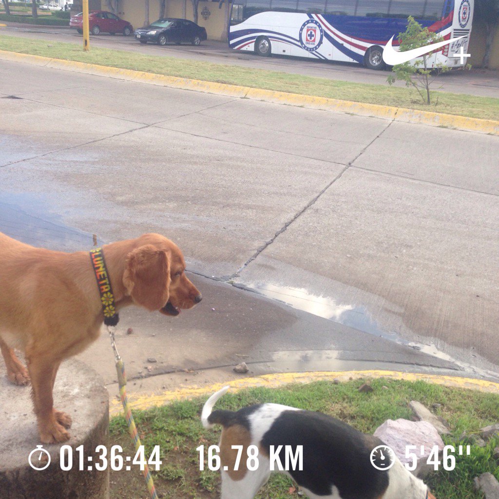 tkk_fsol's tweet photo. #Nike #nikerunningclub #nikerun #nikeplus #nikedogs #run #running #corre #fit #fitness #Aguascalientes #Mexico https://t.co/YQ76YERU6X