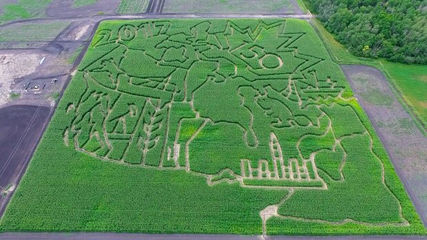 AceBurpeeShow's tweet photo. Nailed it. Deer Meadow Farms corn maze. Should be open 1st week of September. https://t.co/0im8AyuaIH