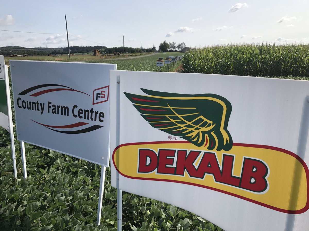 Sean Cochrane tweet media