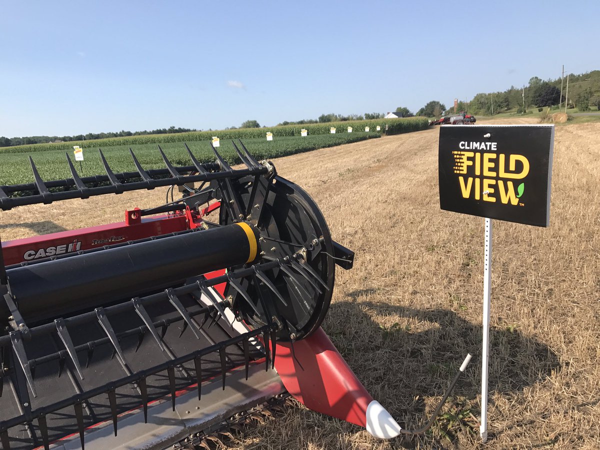 Sean Cochrane tweet media