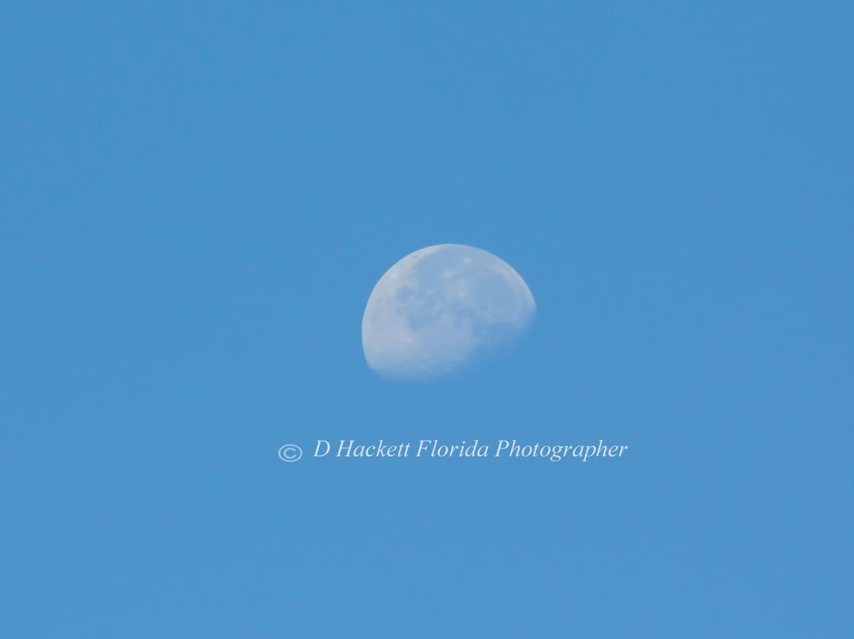 dhackett4150's tweet photo. #moon #partialmoon #daytime #sky #blue #bluesky #florida #dhackett #fineart #bestseller https://t.co/YmxSN0yf9w https://t.co/OwQa06Kipq