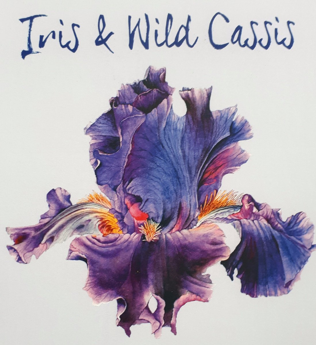 PainswickPharm's tweet image. Loving the new Iris &amp;amp; Wild Cassis fragrance from @BronnleyEngland. Beautiful artwork on packaging too. Would make a lovely gift #FragrantArt
