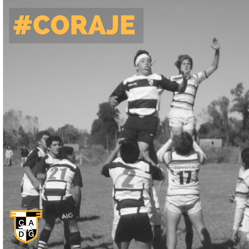 GLEW_RUGBY tweet picture