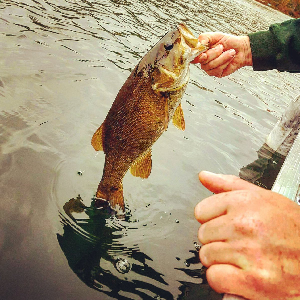 dblheaderbaits's tweet image. 