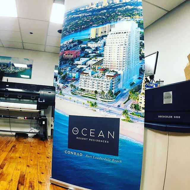 creativomiami tweet media