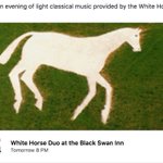 Photo by Black Swan Inn (@BlackSwanDevize)