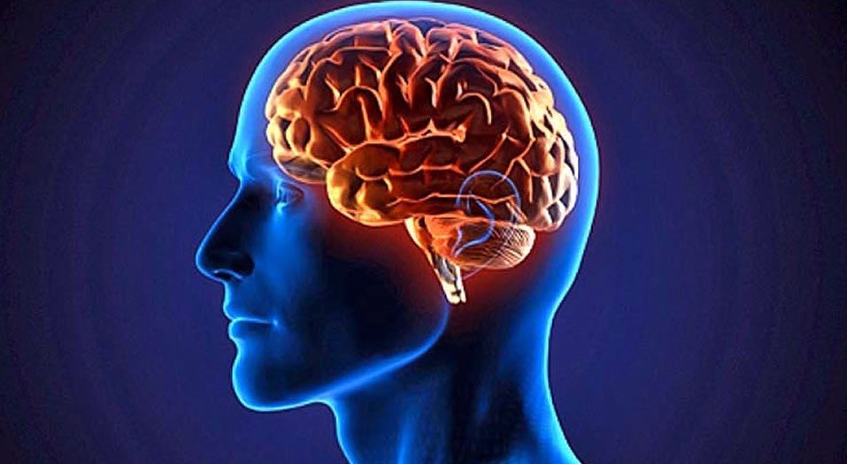 cvsaludable's tweet photo. SABÍAS QUÉ?...El consumo de ácidos grasos Omega-3 EPA+DHA contribuyen al correcto funcionamiento del CEREBRO?... https://t.co/bHluNRqXsu