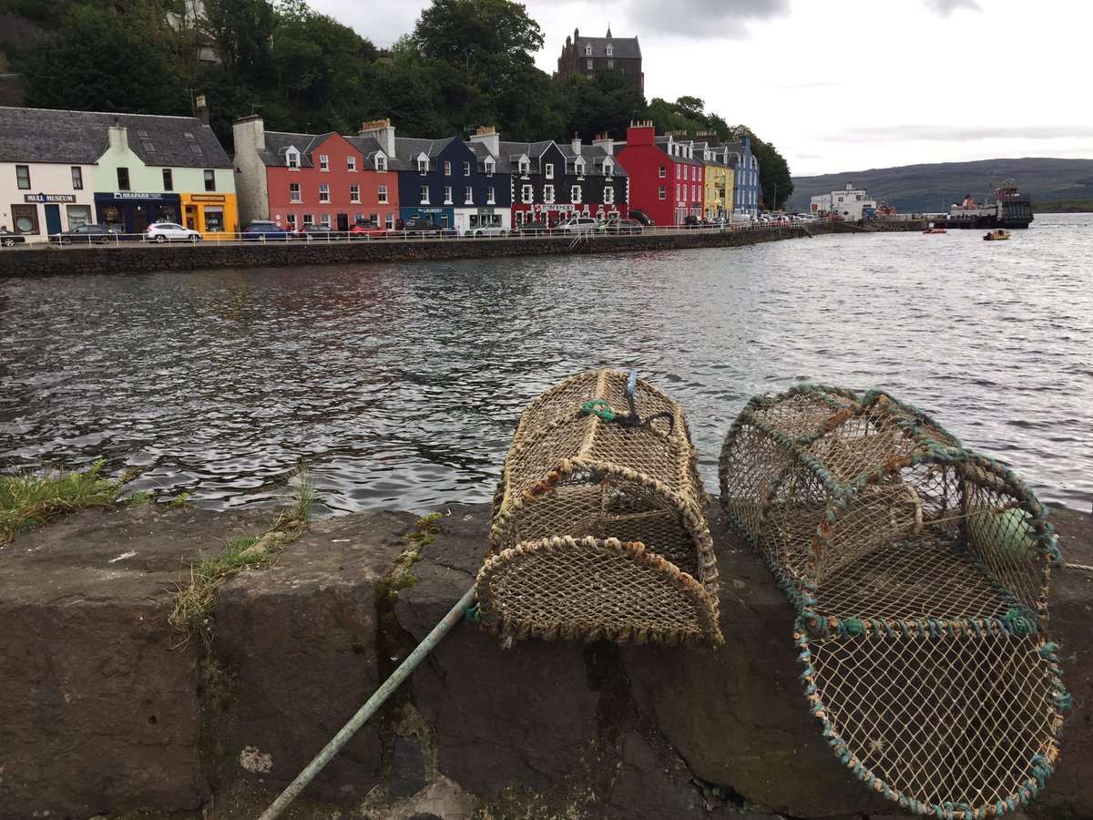 TomDoesTravel's tweet photo. Mull was a total babe #LPinScotland https://t.co/iy9MXZ9qxF