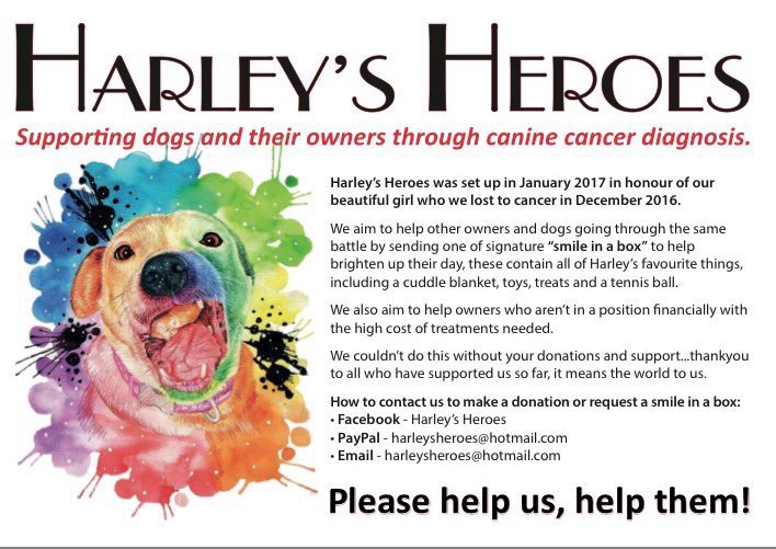 We've had some fab donations lately, please let us know if we can send ur dog or a dog you know a smile in a box to brighten their day ❤️