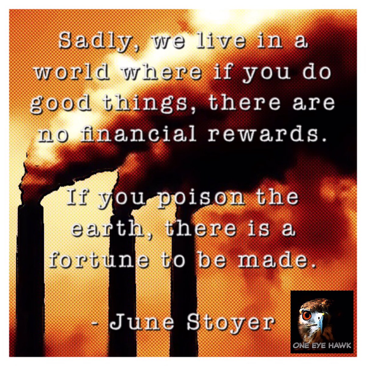 OneEyeHawk's tweet image. #environment #climatechange #conservation #capitalism #green #wind #solar #globalwarming #people #earth