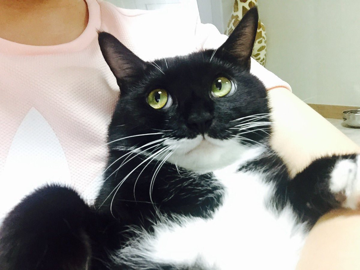 ㅋㅋㅋㅋㅋㅋㅋㅋㅋㅋㅋㅋㅋㅋㅋㅋㅋㅋㅋㅋㅋㅋㅋㅋ흑임자는 여길 빨리 빠져나가고싶다