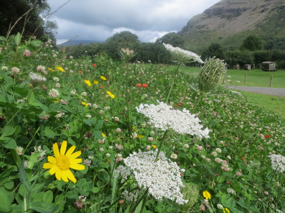 Low_Bridge_End's tweet photo. we've had a cancellation for 2nd September in our self catering... £355 for the week! https://t.co/mxlrP1igCP