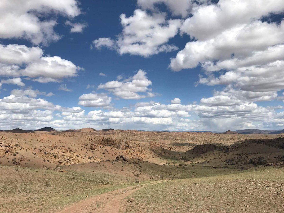 Team Eremus tweet media