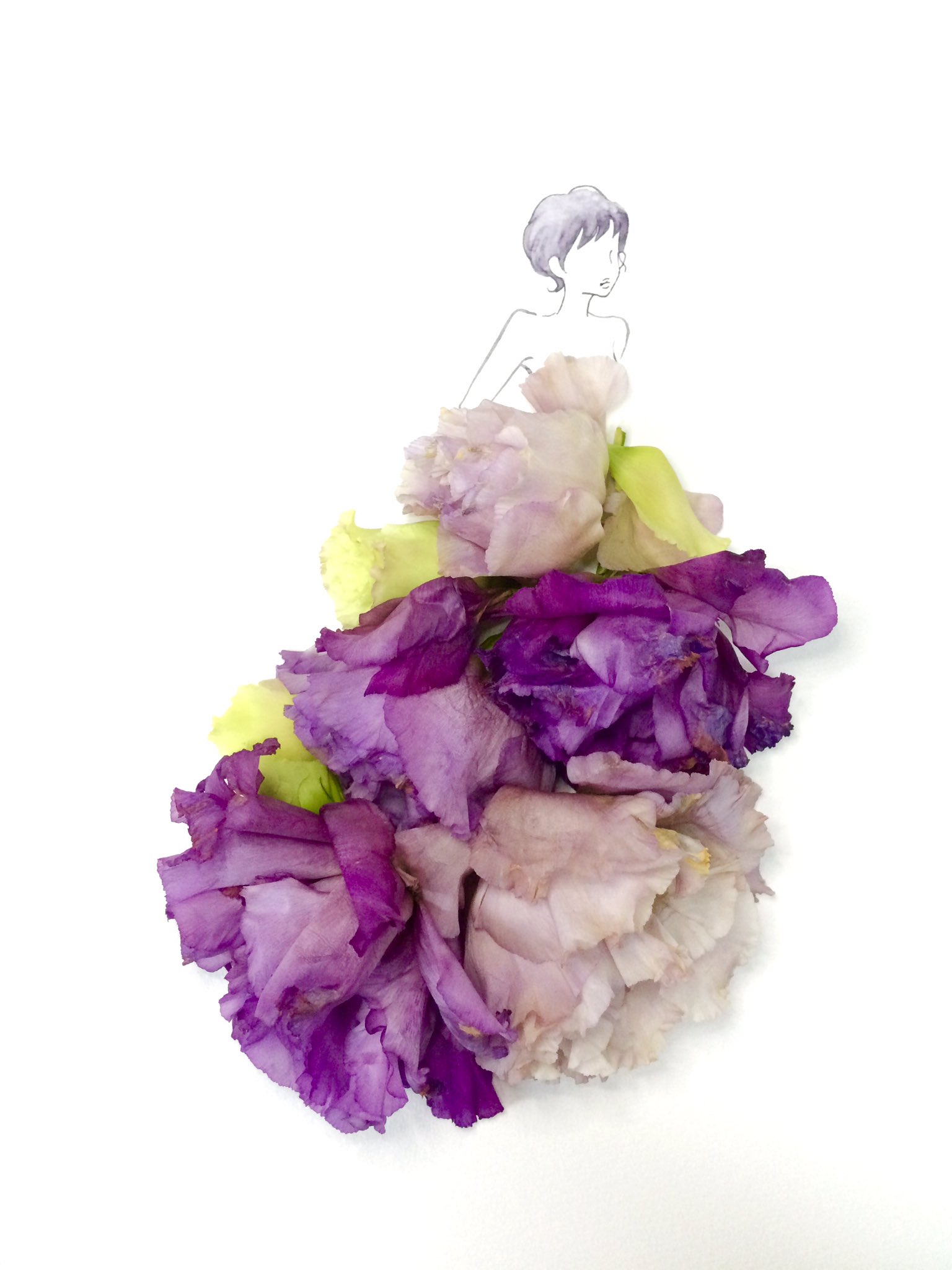 はな言葉 新刊出ました على تويتر 萎れたトルコキキョウの花を使ってドレスを描きました 花弁の質感が好き 花言葉は 優美 清々しい美しさ はな言葉 新刊出ました على تويتر 萎れたトルコキキョウの花を使ってドレスを描きました 花弁の質感が好き 花言葉は 優美 清々しい美しさ