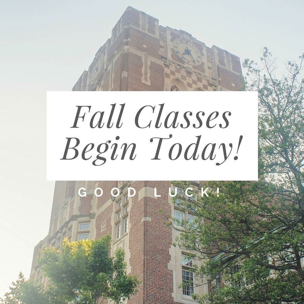ArtsSciencesUT's tweet photo. Good luck with your classes this week! If you're not yet on campus, bring an umbrella!
#utk #fallclasses #fall201… https://t.co/7h3gj669rA https://t.co/M4z4EXhdTs
