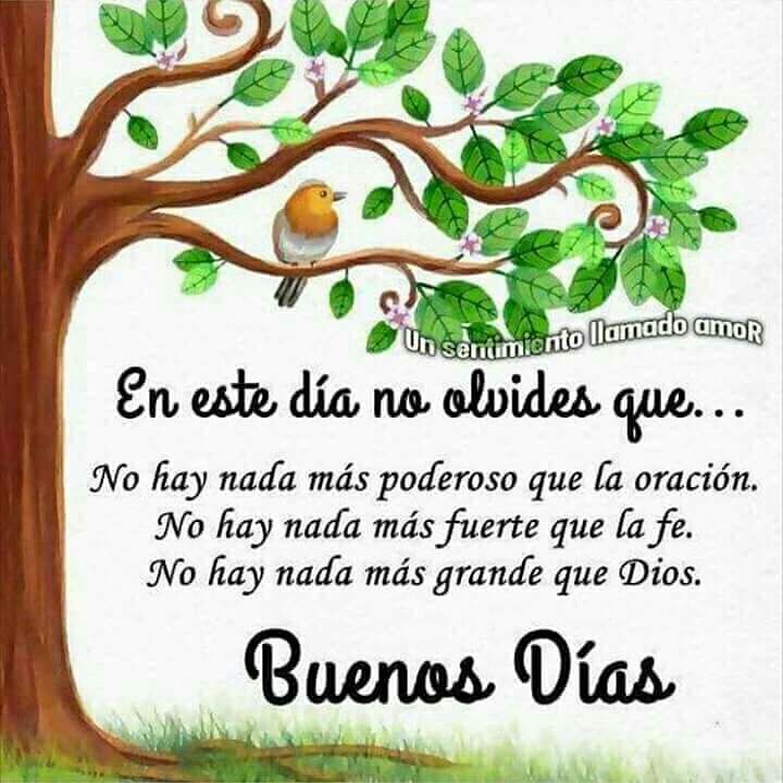 Patricia Nunez A Twitter Buenos Dias Mi Gente Bella Feliz Miercoles Bendiciones Patricia Nunez A Twitter Buenos Dias Mi Gente Bella Feliz Miercoles Bendiciones