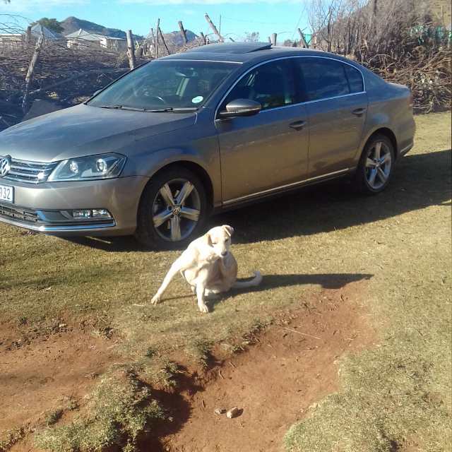 PatrickYolisa's tweet image. 