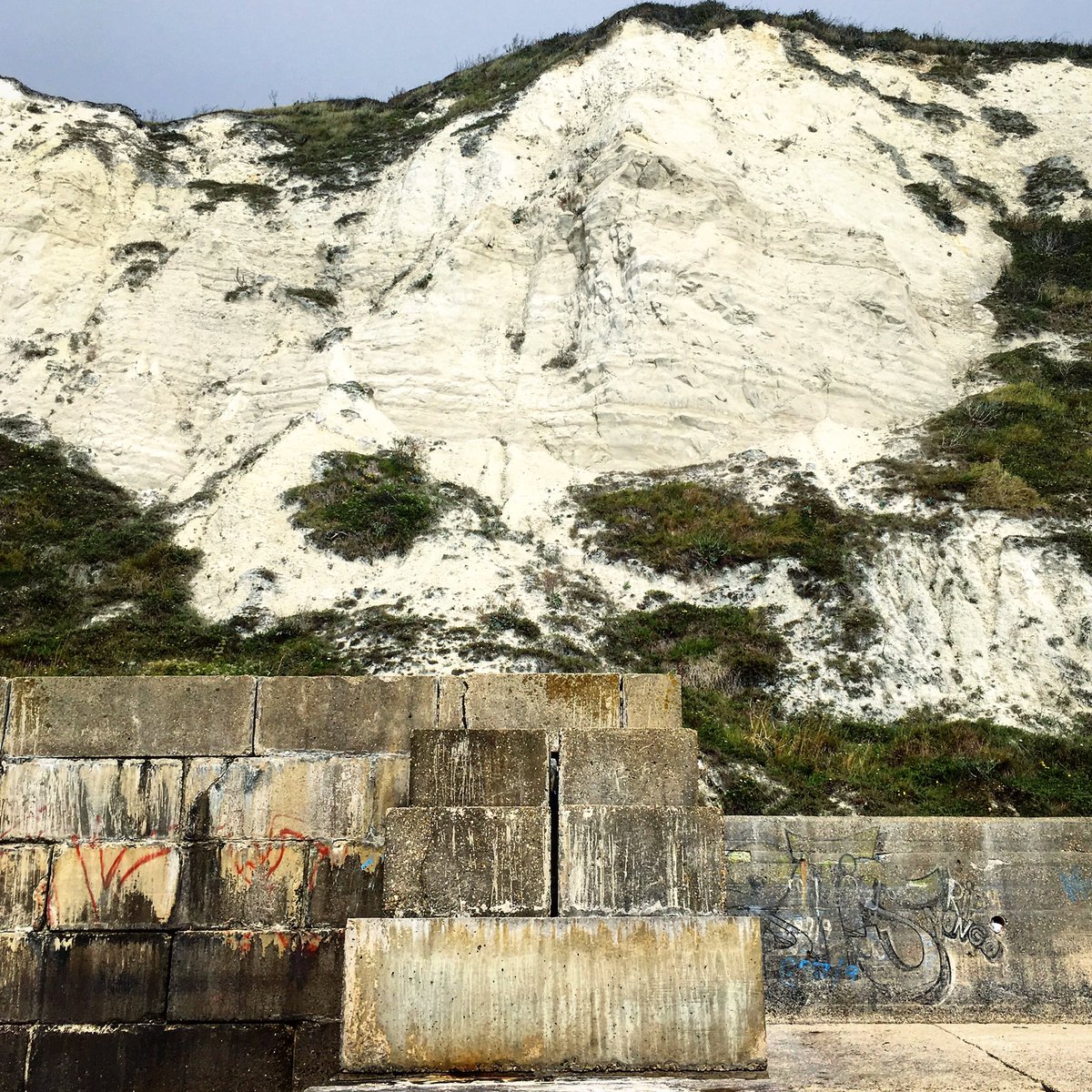 Some snaps from Folkestone Warren this morning #Folkestone #photography