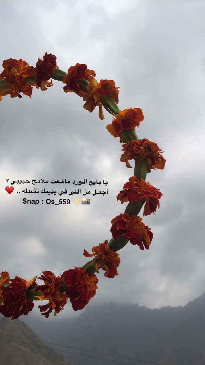 محبوب قلق الجنة كلام تويتر عن الورد caringforcarersindacorum com