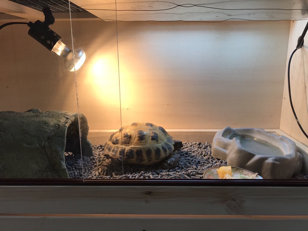 ロシアリクガメ用のケージをご注文頂きレイアウト写真を頂きましたので