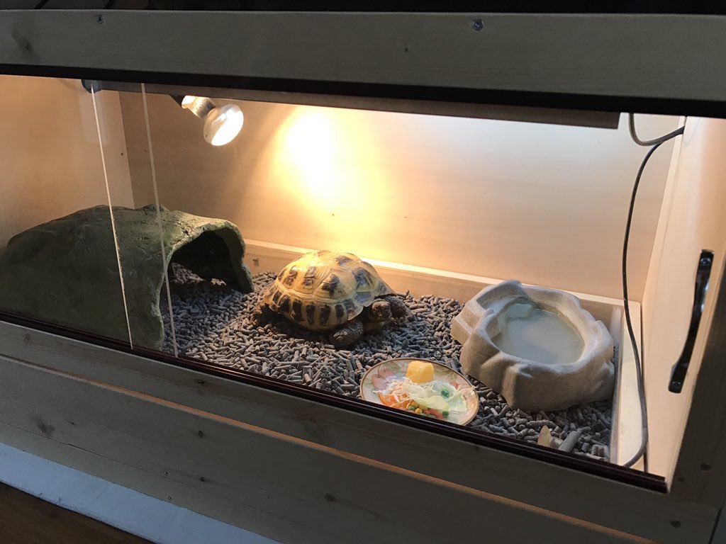 ☆リクガメ爬虫類木製ケージCFW844☆