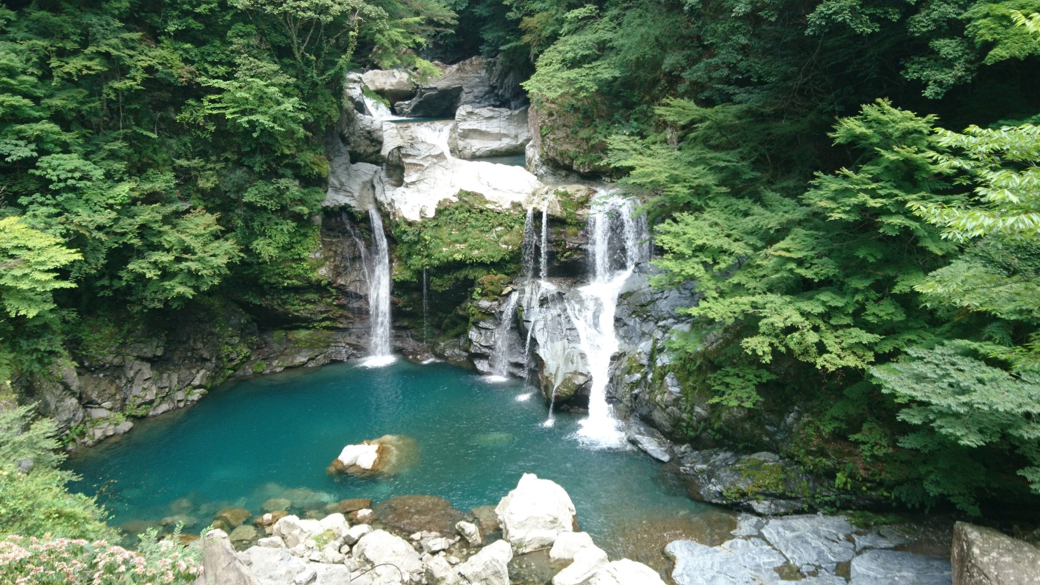 すめらぎ 何造るかな 本日の二本目 大轟の滝 わしゆ神樹さま本体かな 徳島剣山聖域山奥 吉野川から大釜の滝経由でさらに奥に進んだ所 途中道端が狭く対向車来るとどちらかが下がらないと離合出来ません あと剣山スーパー林道にアクセス出来る為