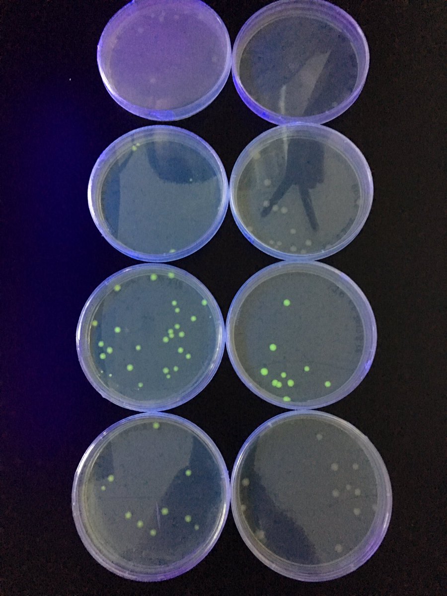 KAIT_JAPAN's tweet photo. #interlab https://t.co/cSrEoyEXTE