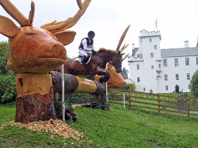 hot_togs's tweet photo. As we cannot attend @BCIHT this year then we are offering discounts on all our products on our website, use code: HTS_BLAIR17 at checkout https://t.co/fmAVy39Mzl