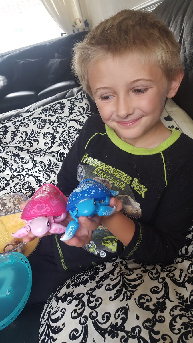 cheznal's tweet photo. @UKMumstv #LittleLivePets #turtles #easytocarefor #nofuss #lovethem https://t.co/LIVnmb8Myu