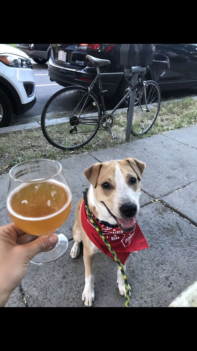 VirginiaBeerCo's tweet photo. Our thanks to @MeridianPint for hosting us last night for #DCBeerWeek, and to you #VAbeer fans who joined us for #DCBW2017 beers & cheers! 🍻 https://t.co/IdweTexTeg