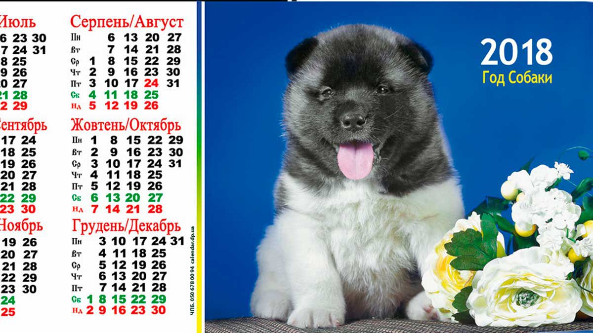 calendardpua's tweet photo. Коллекция календарей-палаток на 2018 год #2018 #палатка #настольный #календарь https://t.co/DwyzZsKZxu https://t.co/9oTGbgEfTP