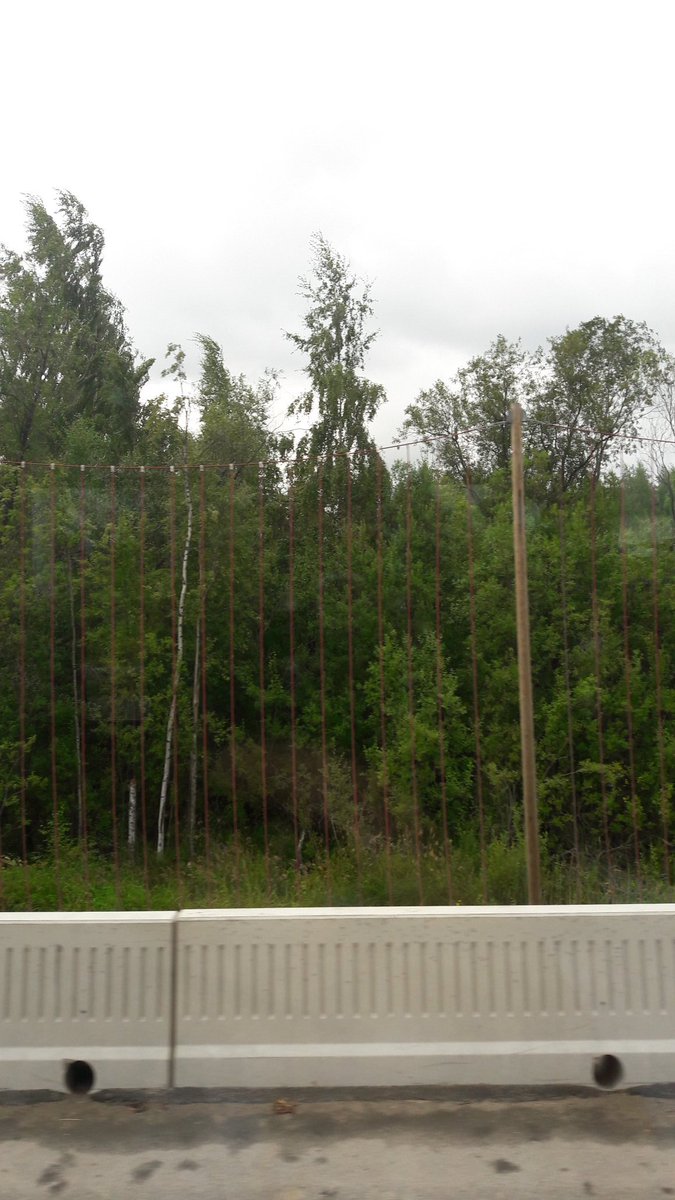 DestiaOy's tweet image. Verkko suojaa lokkeja. #vt5 #mikkeli #destia #vastuullisuus