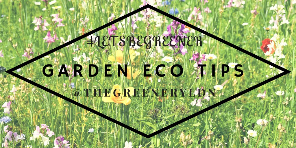 ThegreeneryLDN's tweet photo. Week5: final week of our #letsbegreener campaign to share eco tips 4 the home. Week5: GARDEN! So: wildflowers, bees, veg? Use # and share! https://t.co/WZEDk7ddHR