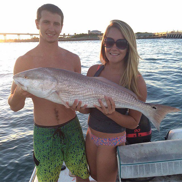 skiff_life tweet picture