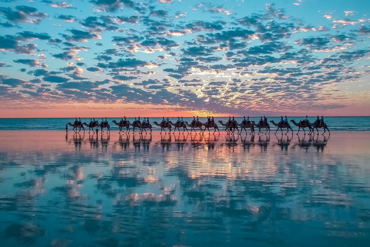 BlueberryTrails's tweet photo. A sunset camel ride on #CableBeach in #Australia is one of those bucket list items.#camelride #lovedestination  #ttot,#tt,#australiatour https://t.co/wxwt4RvKBu